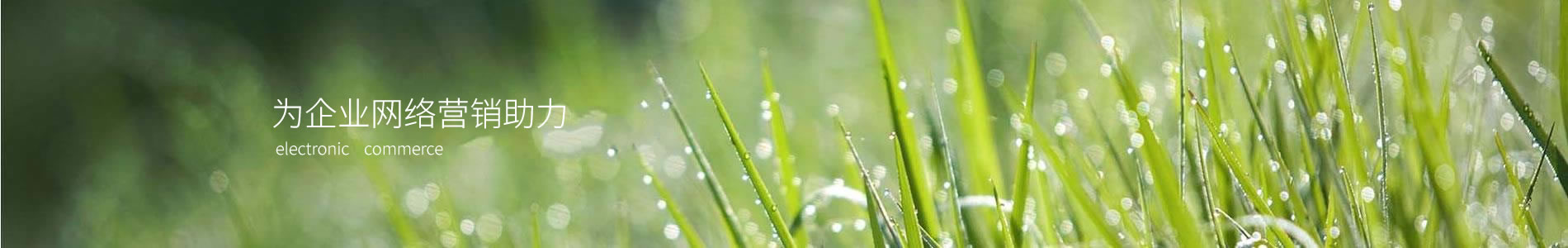 Ļǽܻ